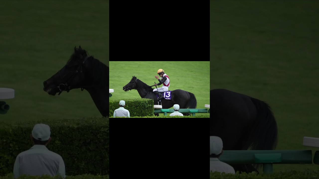 西村淳也騎手、男泣き 2024年スプリンターズステークス ルガル #horse #競馬