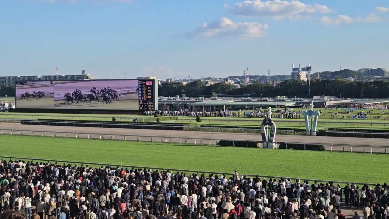 第29回秋華賞2024（東京競馬場の様子）
