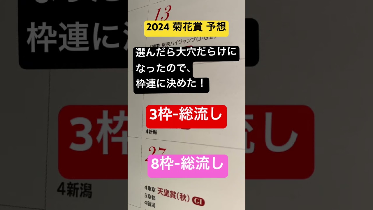 菊花賞 予想 2024