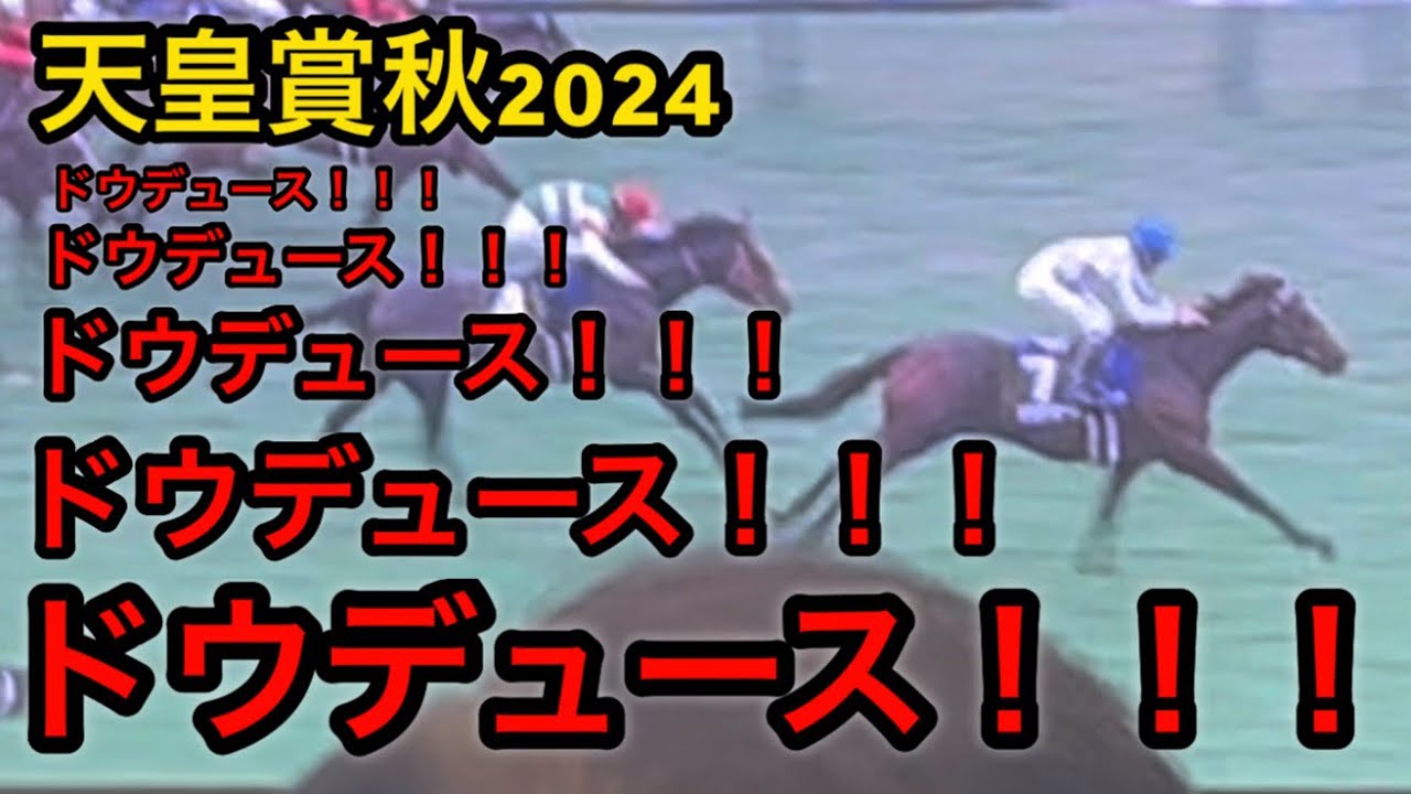 【天皇賞秋2024】ドウデュース限界オタクの涙腺が崩壊しました【ドキュメンタリー】