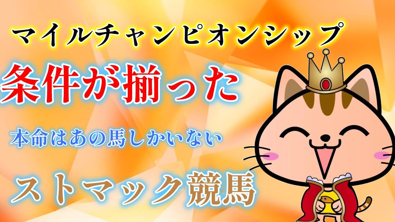 マイルチャンピオンシップ2024　ストマック競馬