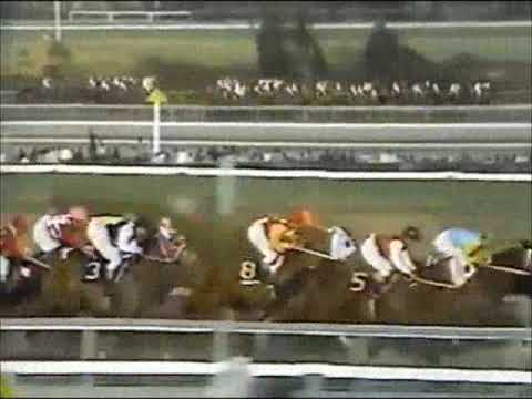 1969年皐月賞　クラシック一番手ワイルドモア圧勝！　～ラジオ関東