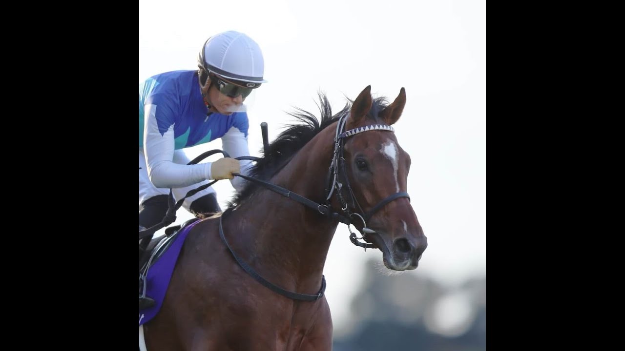 ２０２４年　朝日杯フューチュリティステークスを語る 「鬼に金棒、左手に愛情」