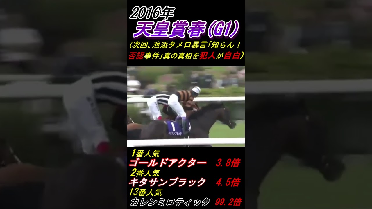 【武豊と池添謙一が天皇賞春入線後それぞれに"１着俺？"】激しくうなだれる池添謙一 ＆ 半信半疑に親指立てる武豊　天皇賞春(G1･2016年)優勝キタサンブラック号 #武豊 #池添謙一