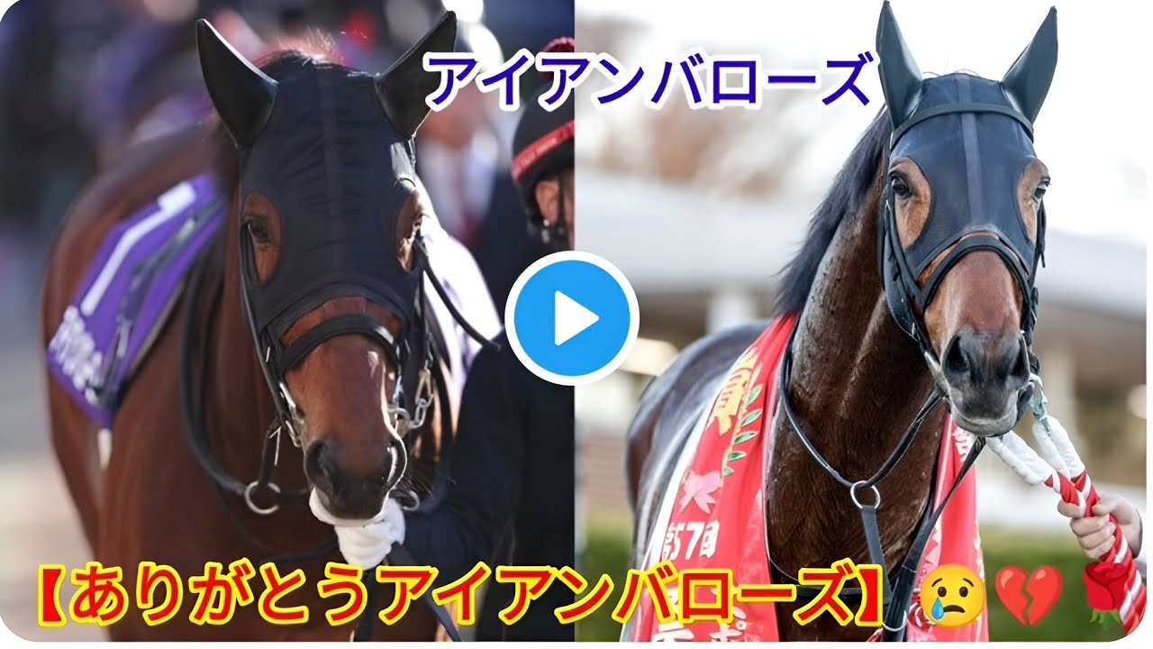 【JRA発表】23年ステイヤーズＳ覇者アイアンバローズが急死　８歳　放牧先で #アイアンバローズ 【ありがとうアイアンバローズ】アイアンバローズ|2023年ステイヤーズステークス覇者アイアンバローズ死