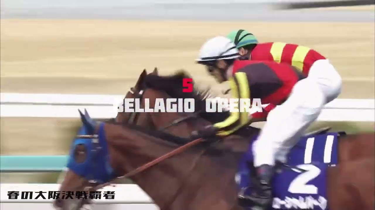 【競馬MAD】有馬記念2024