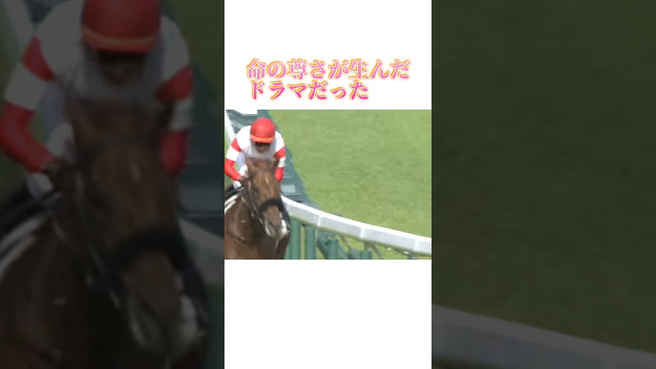 命の尊さを 〜 第91回日本ダービー　#全人馬無事に #横山典弘 #ダノンデサイル #スキルヴィング #競馬【エゴンウレア過去ログ】