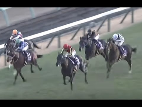 ２０２４年　ホープフルステークスを語る「Funny Horse Racing Fan」