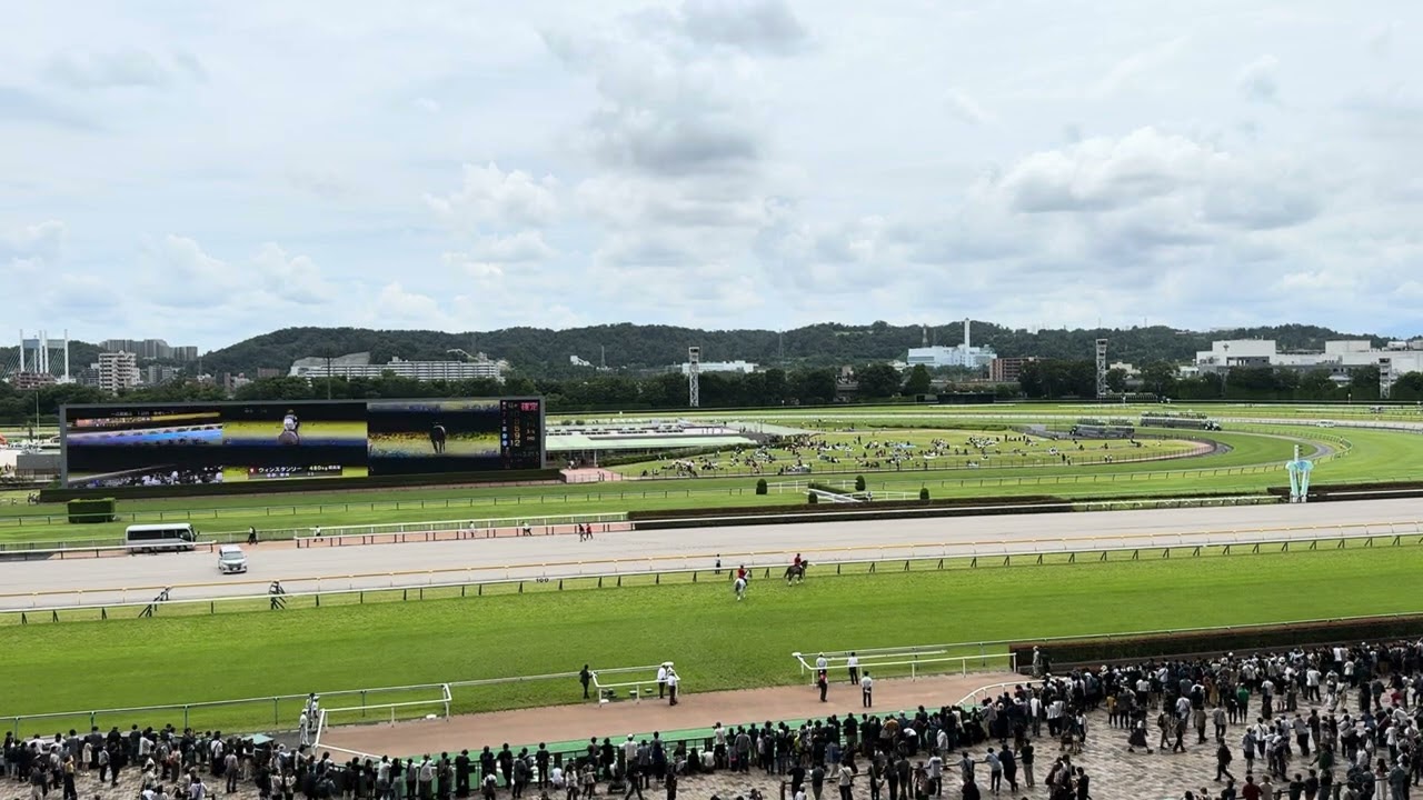 クロワデュノール(6番) 2歳 新馬　本馬場入場