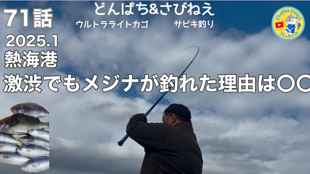 【激渋の中　尾長メジナ釣れました】