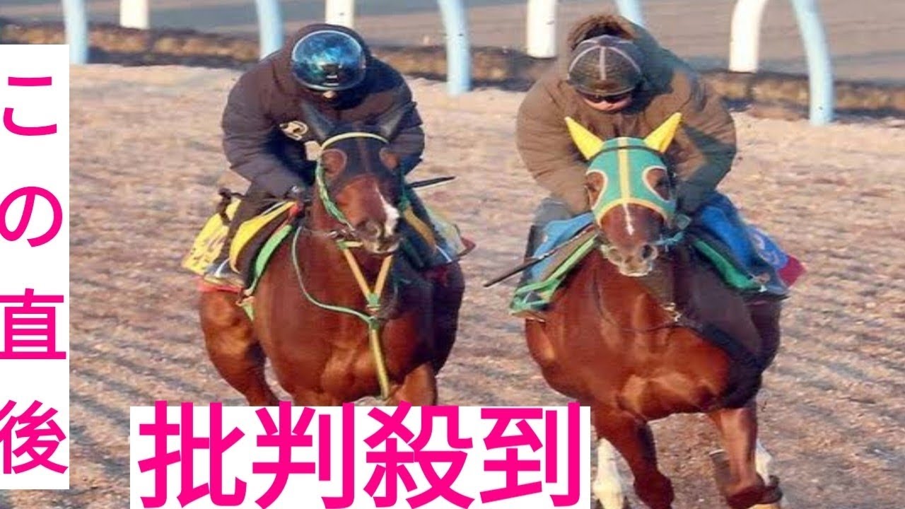 【AJCC　追い切り】ライラックは美浦W併せ馬で手応え圧倒　相沢師「裕紀人（石川騎手）もすごくいいと言っている」