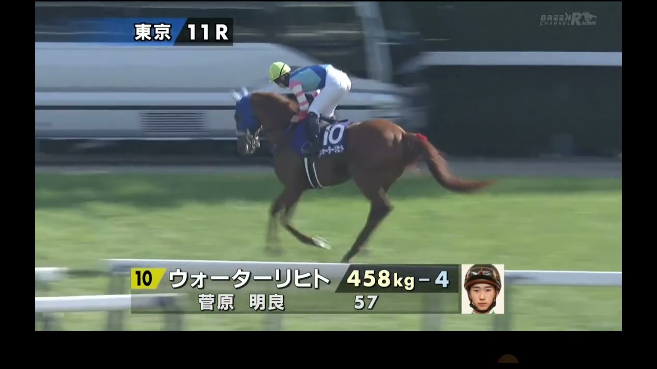 東京11R NHKマイルカップ《G1》本馬場入場