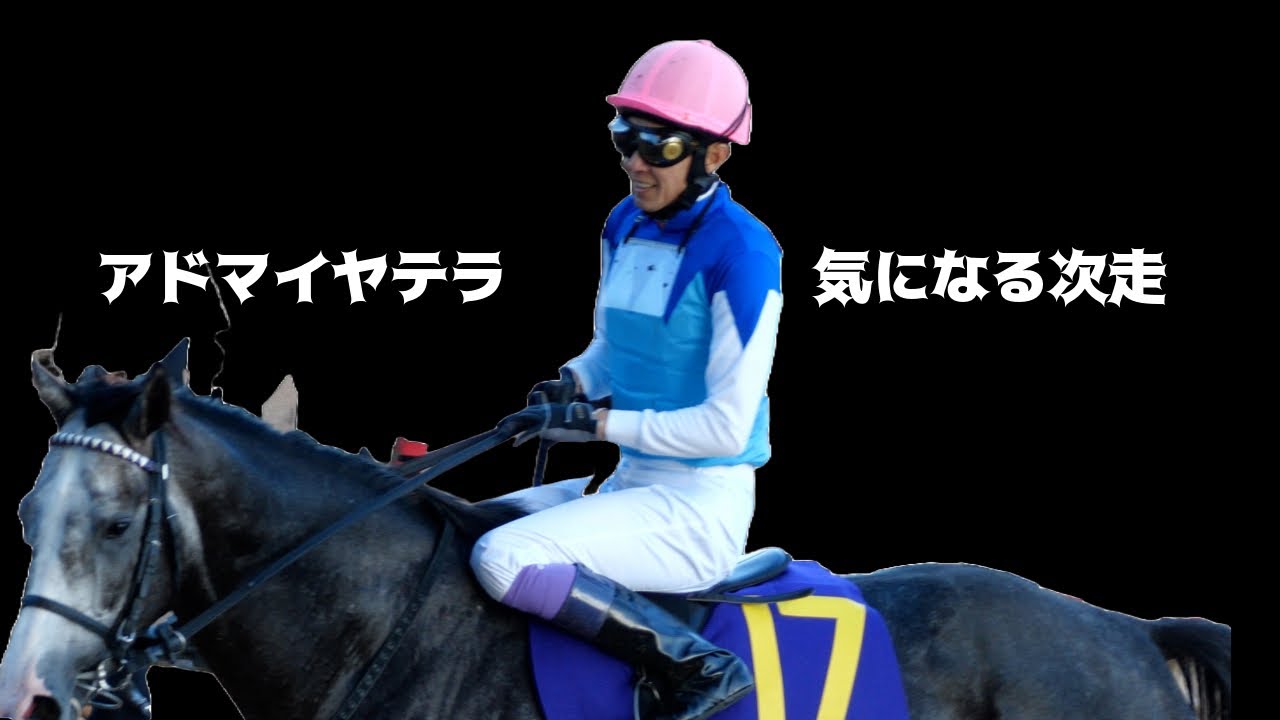 【武豊】菊花賞騎乗したアドマイヤテラの次走が気になる