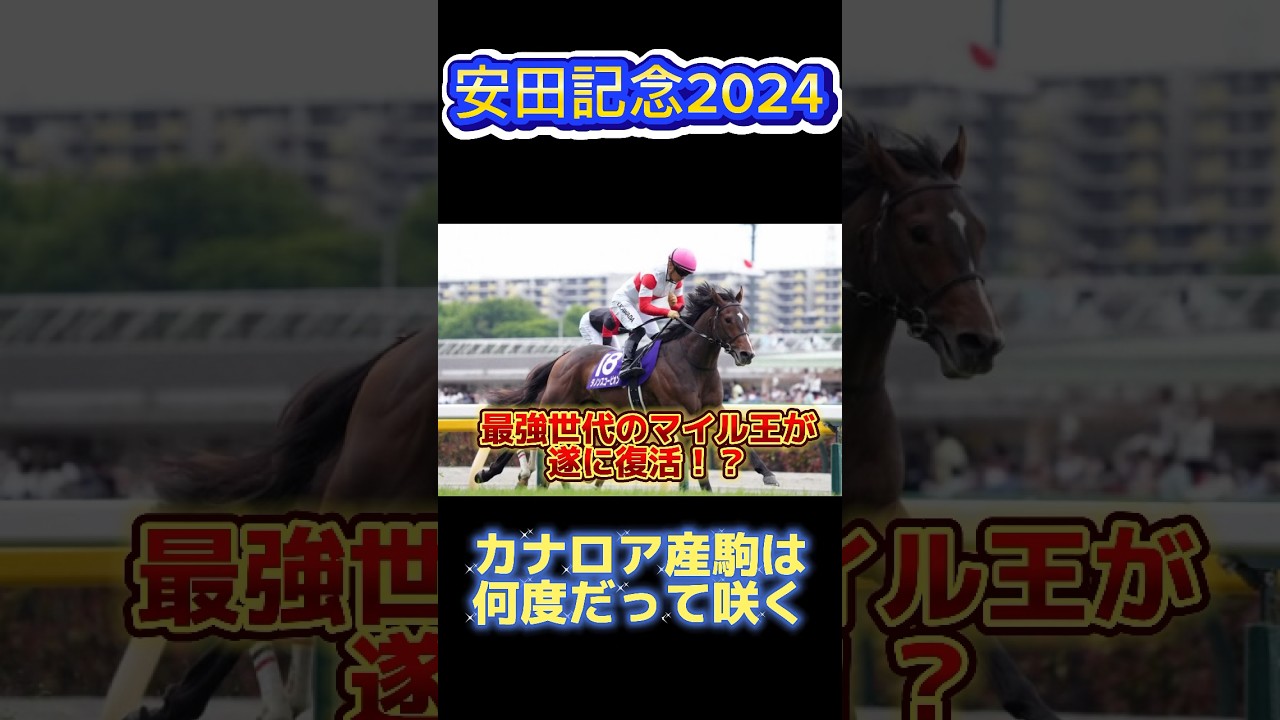 【安田記念2024】最強世代のマイル王が遂に復活！？カナロア産駒は何度だって咲く #ダノンスコーピオン #競馬 #競馬予想 #安田記念 #安田記念2024 #shorts