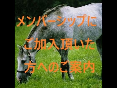メンバーシップ初加入の方はご連絡ください　コミュニティは概要欄に記載されています