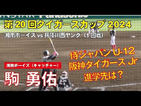 【タイガースカップ2024】駒 勇佑｜湖南ボーイズの逸材！進学先はどこ？阪神ジュニア＆侍ジャパンU12で輝く注目選手
