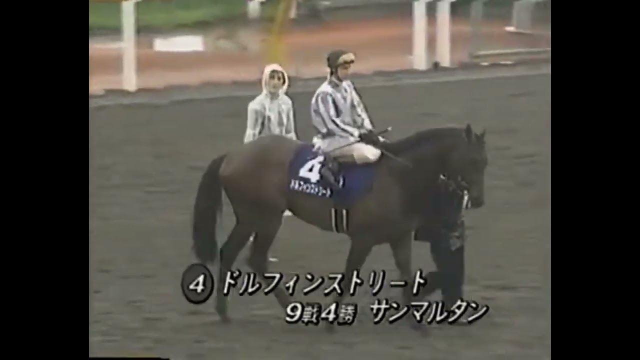 1994 安田記念