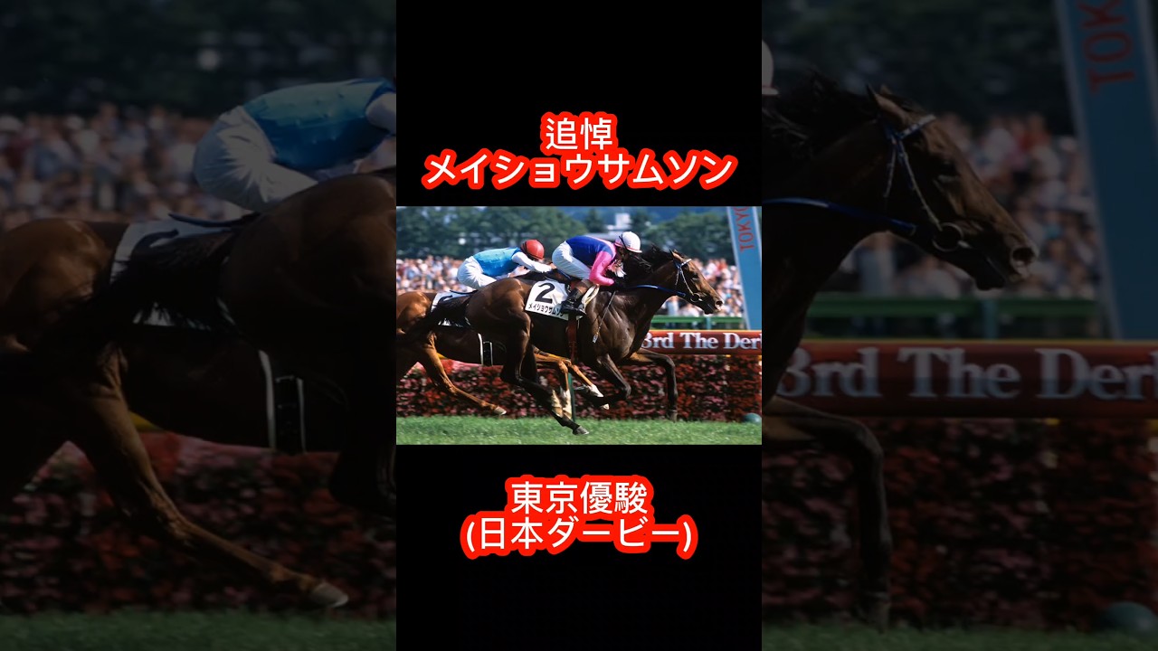 追悼 メイショウサムソン【東京優駿(日本ダービー)〘G1〙】2006年