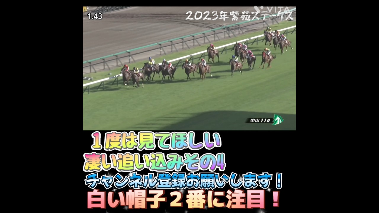 １度は見てほしい凄い追い込みその4#競馬 #レーシング #レース #shortvideo #名レース #horseracing #horse #騎手 #横山典弘