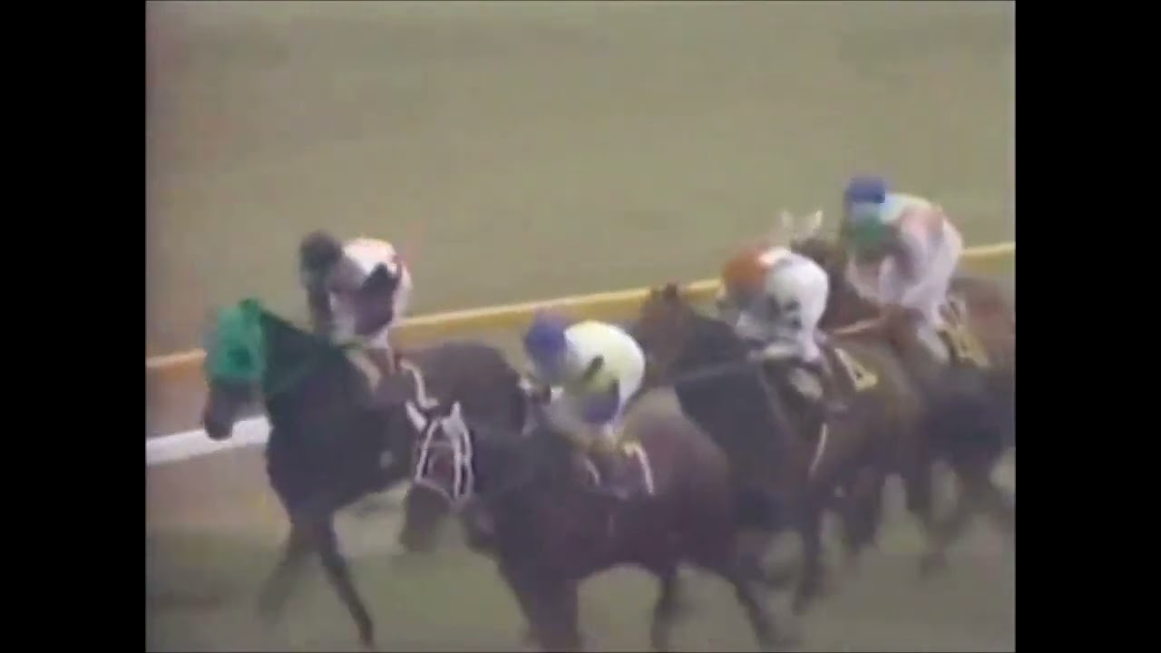 1977年天皇賞春　テンポイント無冠返上、グリーングラスは4着