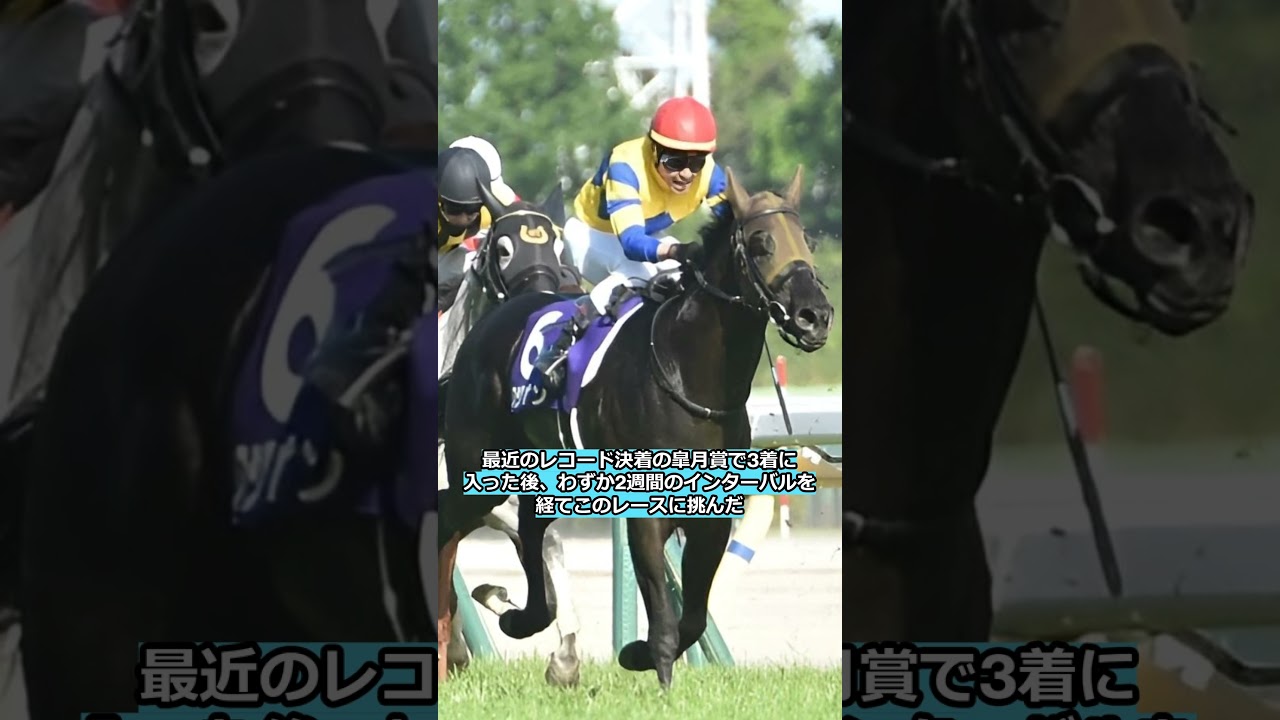 ☝️【ジャンタルマンタル圧勝‼️】第29回NHKマイルカップ