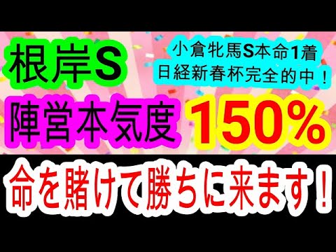 【競馬予想】根岸ステークス2025　3週連続的中へ確信！　本番のフェブラリーSを考えず全力でここだけを勝ちに来る馬がいます！！