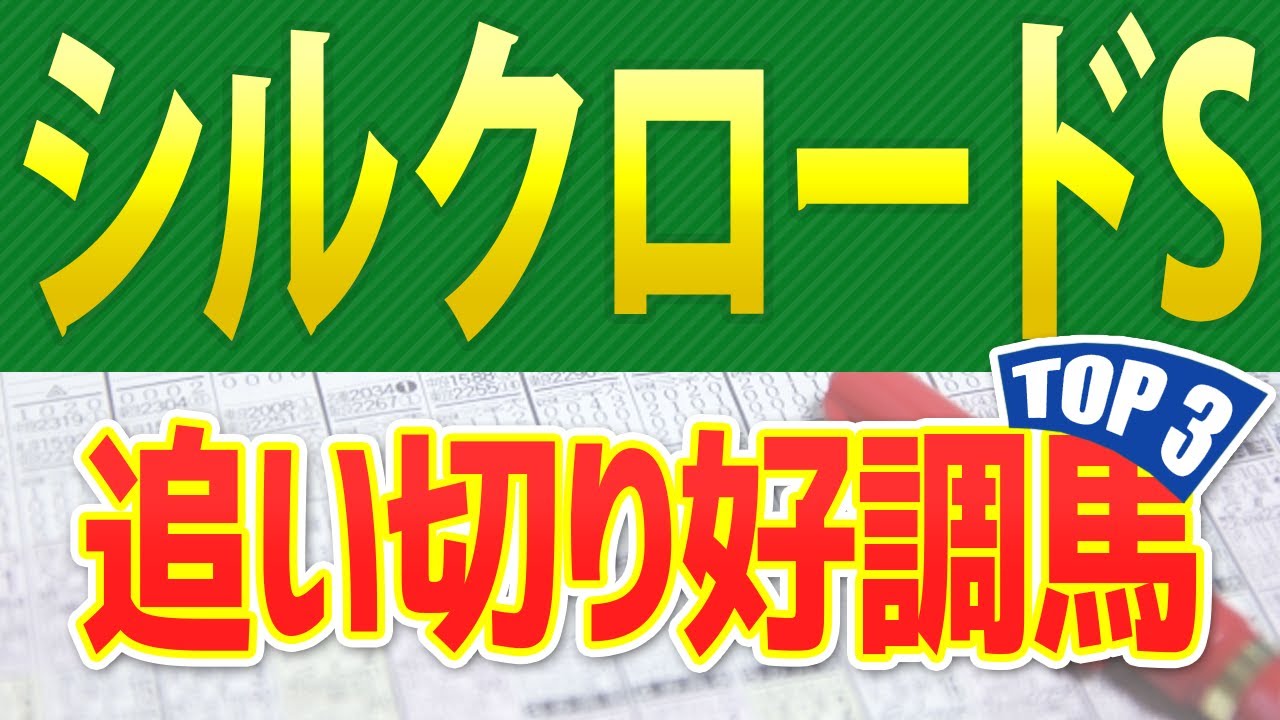シルクロードステークス（2025年）追い切りが抜群だった「トップ3」はこの馬だ🐴 ～JRAシルクロードSの競馬予想～