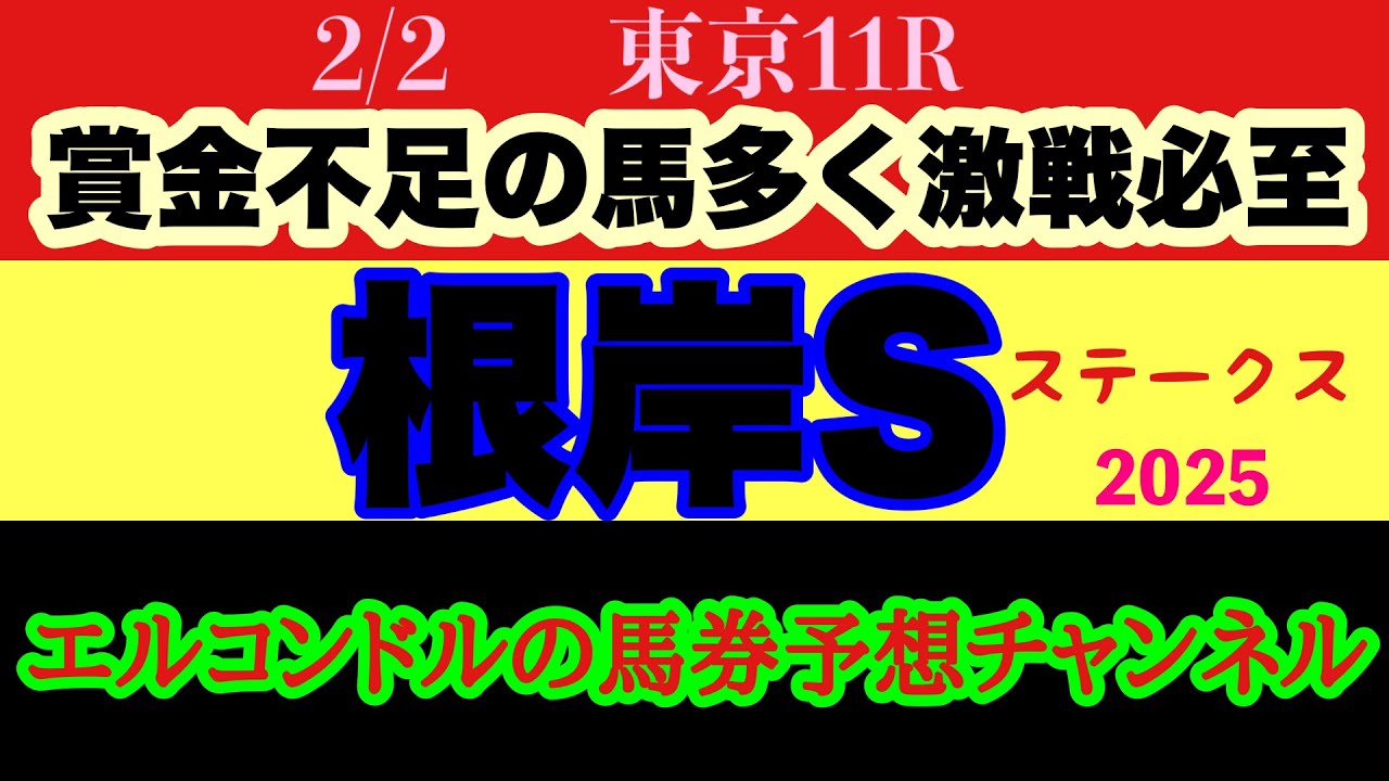 エルコンドル氏の根岸ステークス2025予想！！前日からの雨と雪の影響は！？フェブラリーステークスに向けて賞金不足の馬が多く好レースになるは間違いなし！