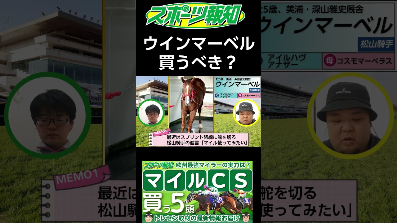 【マイルチャンピオンシップ2024の穴馬候補】ウインマーベルは買うべき？