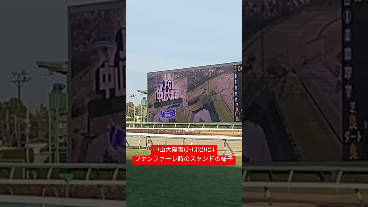 中山大障害(J・GⅠ)2024:ファンファーレ時のスタンドの様子 #競馬 #中山競馬場 #中山大障害