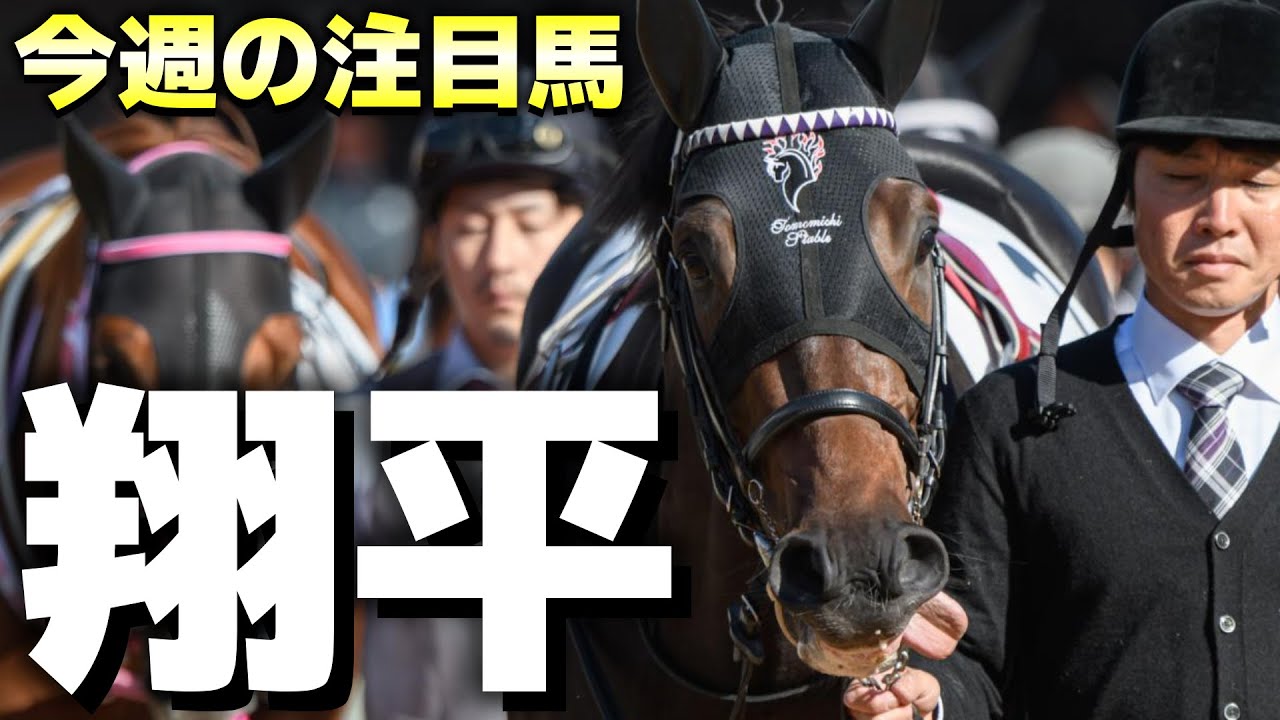 【二刀流？】競馬界の大谷翔平は活躍出来るのか？