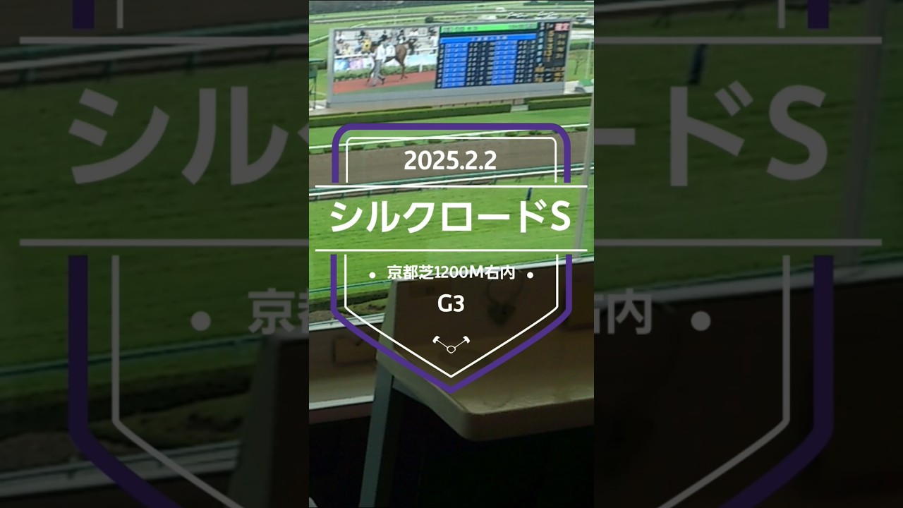 【シルクロードS 2025】上位5頭予想！高松宮記念へのステップレース、シルクロードステークスの開催です！過去、ここから数多くの馬がG1馬になった重要なレースです。