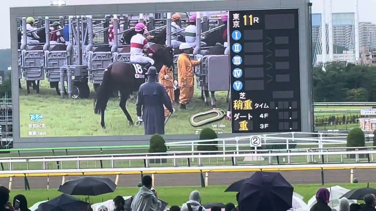 安田記念G1 2024 ロマンチックウォリアー 現地映像　　東京競馬場