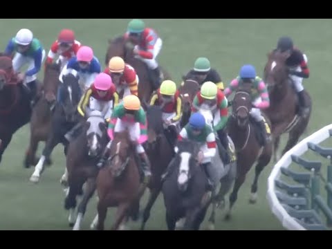 ２０２５年　白富士ステークスを語る「Blumenstrauss」