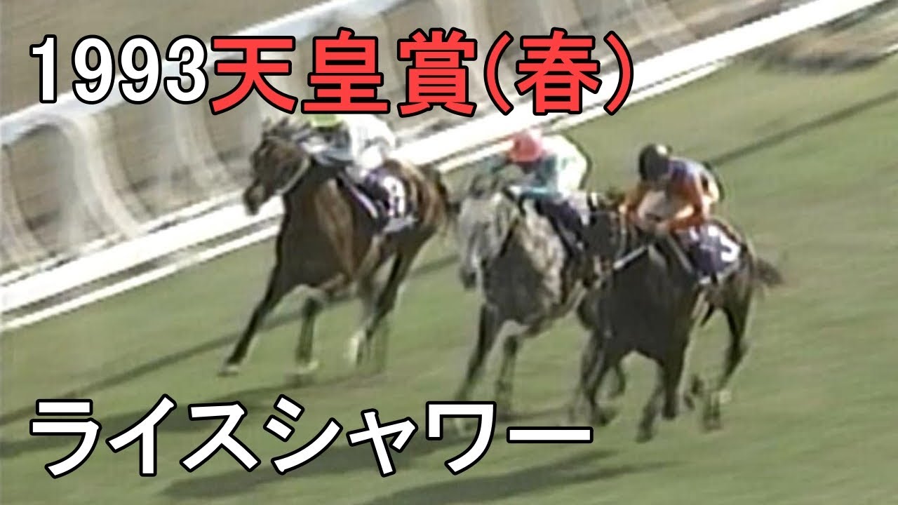 ライスシャワー 1993年(平成5年)第107回天皇賞(春)(G1)