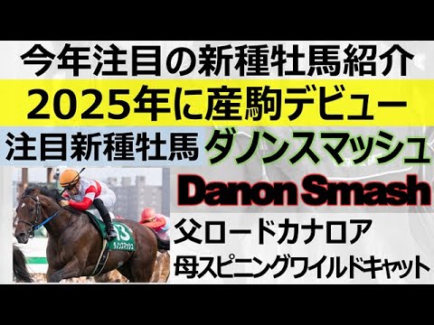 【ダノンスマッシュ】25年産駒デビュー「ロードカナロア」後継種牡馬候補！短距離スピードで父子３代香港スプリント制覇へ魅力と期待産駒をご紹介☆