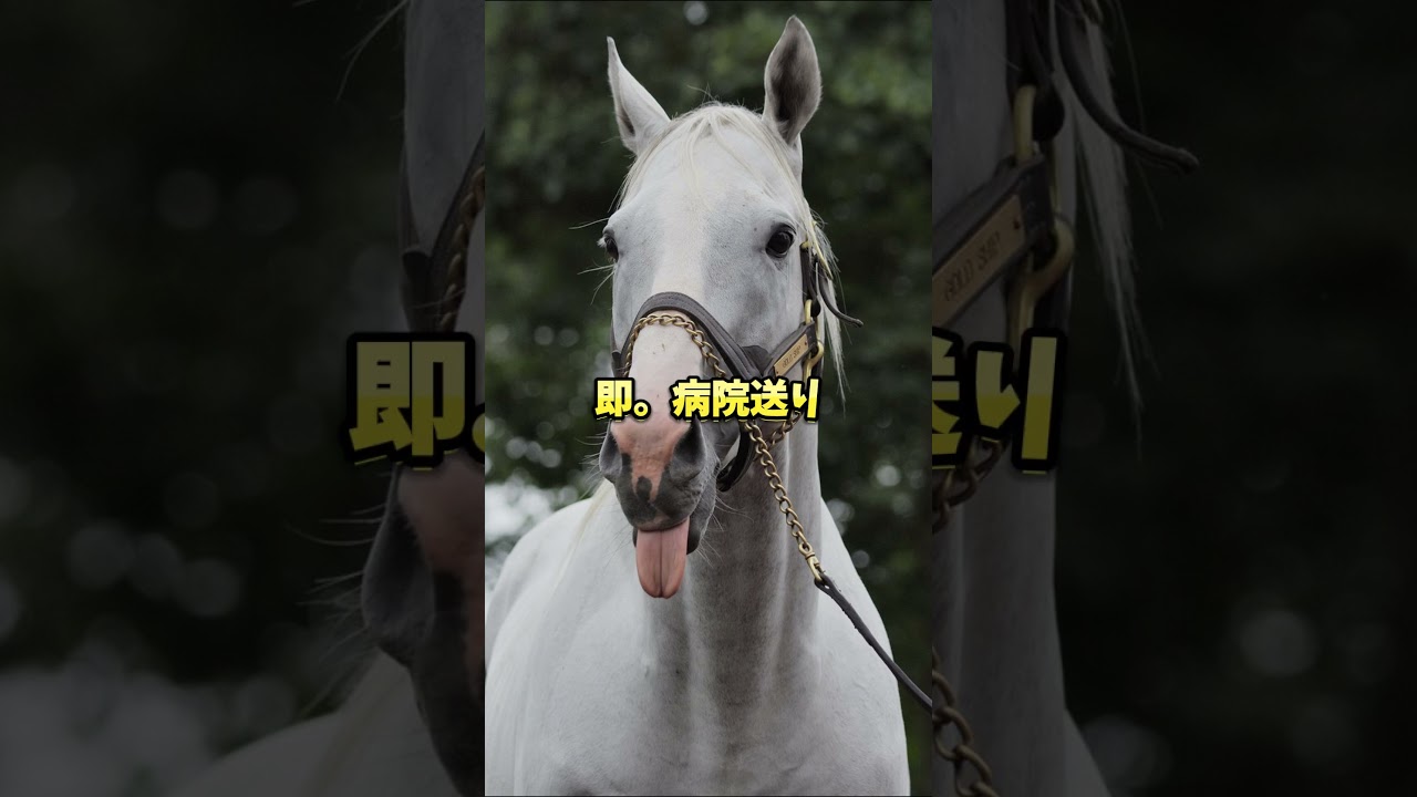 ゴールドシップの雑学 #ゴールドシップ