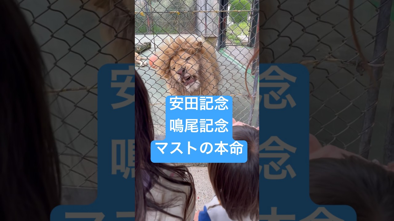 安田記念鳴尾記念のマストの本命 #競馬 #予想 #安田記念 #鳴尾記念 #shorts