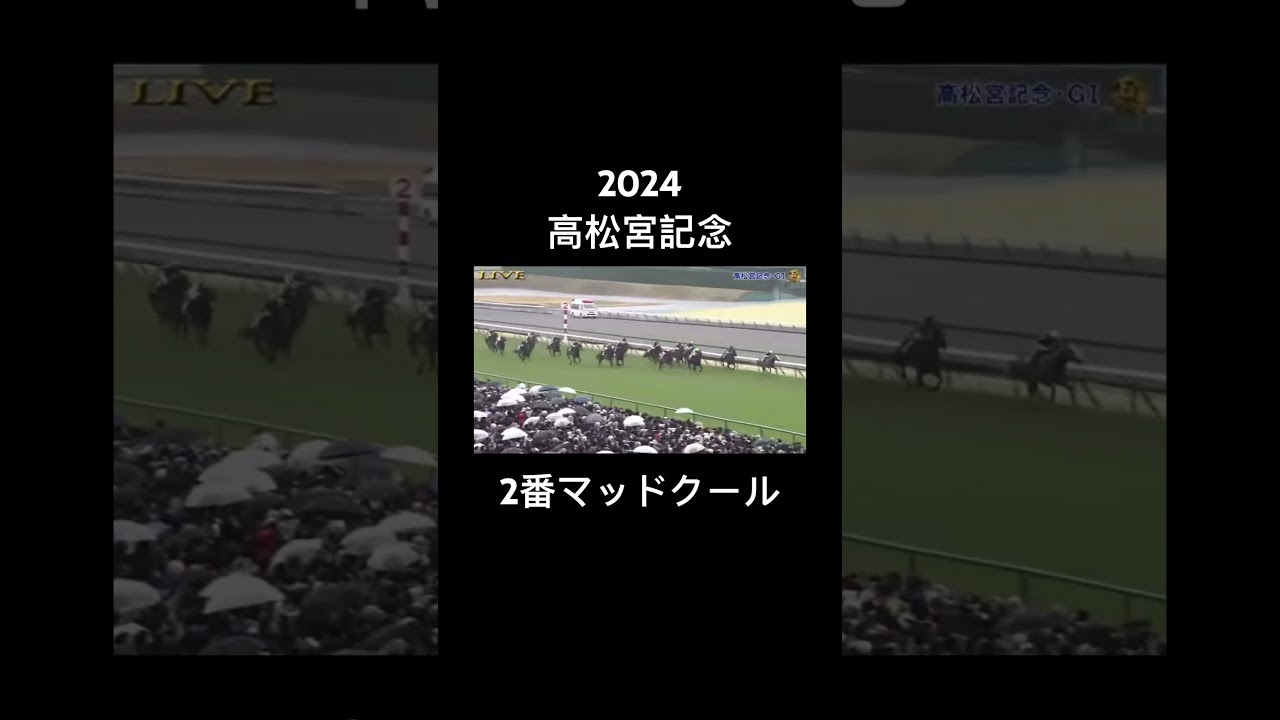 2024高松宮記念#競馬 #高松宮記念2024 #マッドクール #酒井琉星