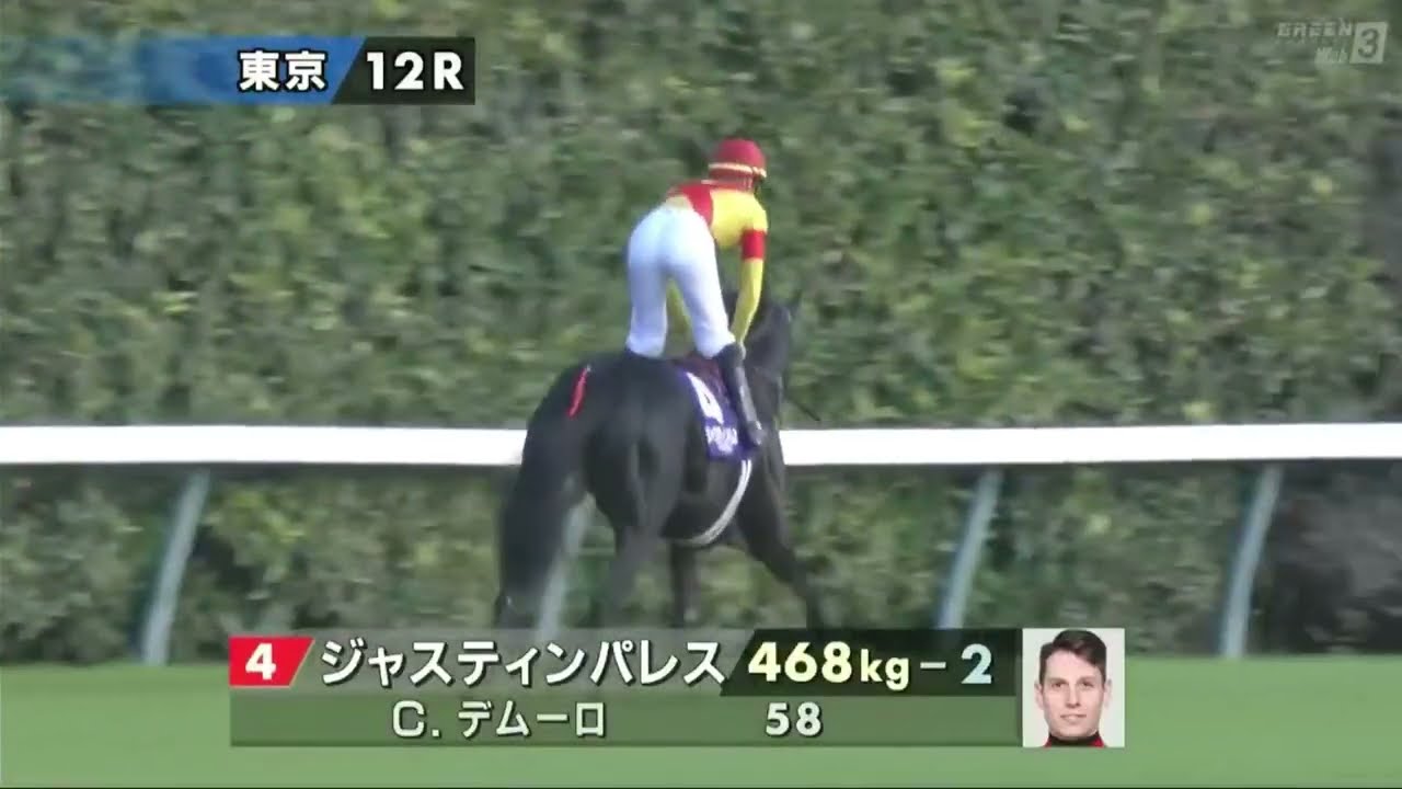 【本馬場入場】第44回ジャパンカップ(GⅠ) 2024/11/24