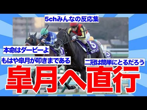 【競馬】クロワデュノールが皐月賞へ直行に対するみんなの反応