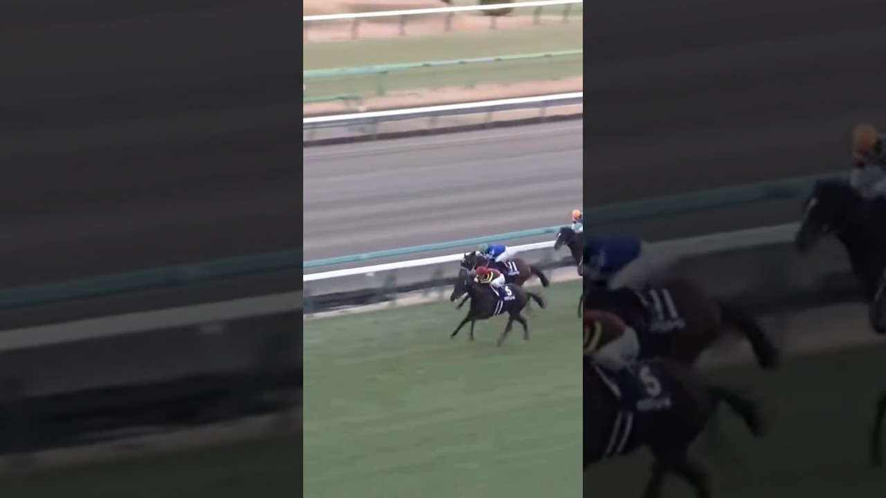 #shorts 2024 ホープフルステークス #クロワデュノール #北村友一