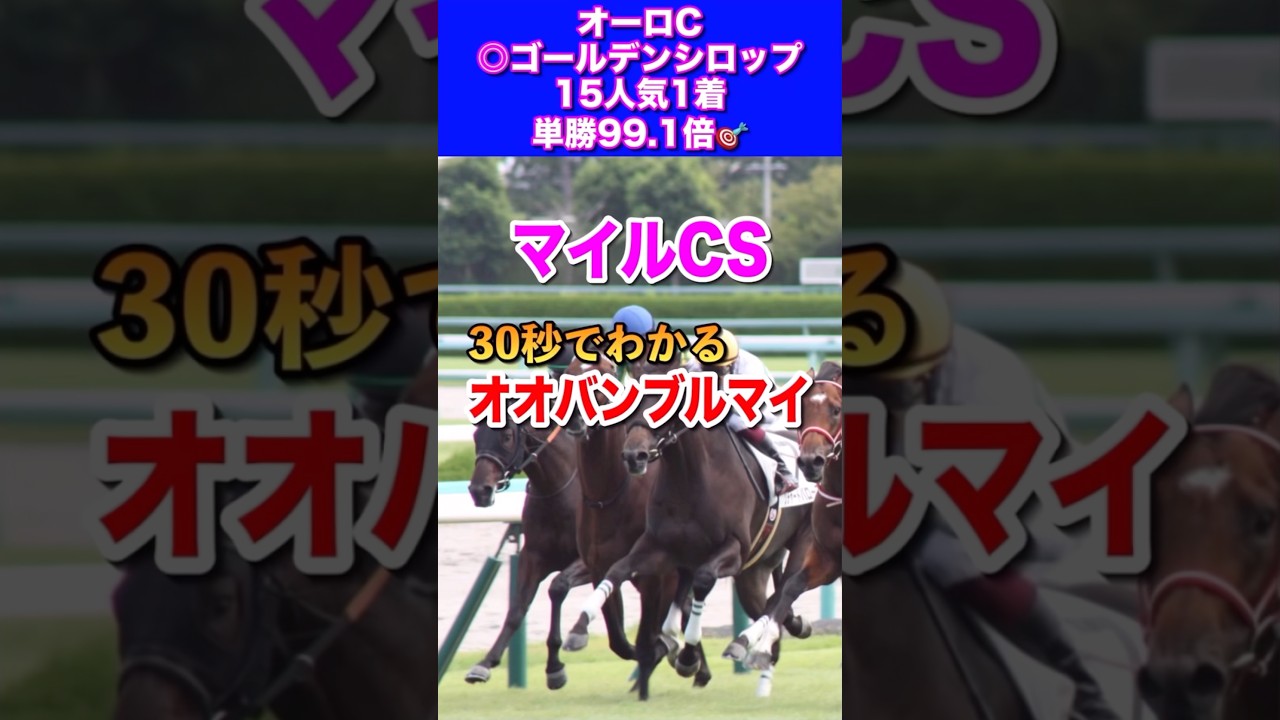 【マイルチャンピオンシップ2024】30秒でわかるオオバンブルマイ