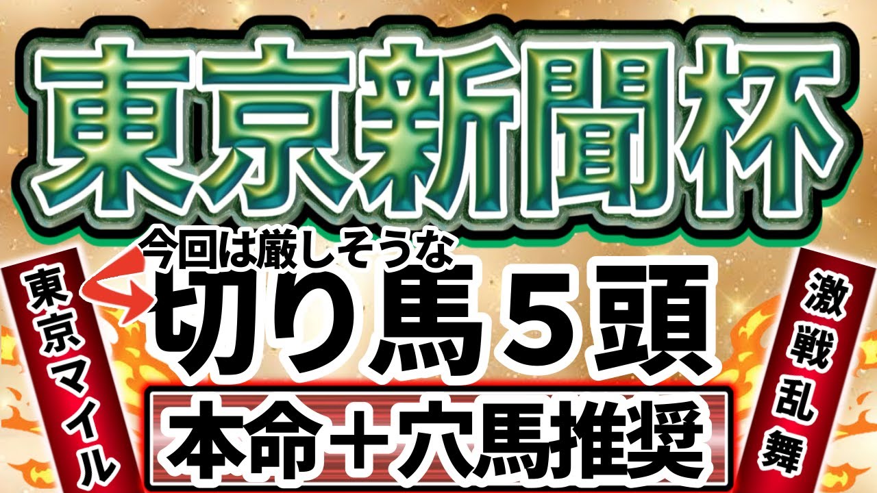 【東京新聞杯 2025】東京マイル戦！末脚自慢が集結！展開的に前有利になりそうな中どのような予想を展開する？！