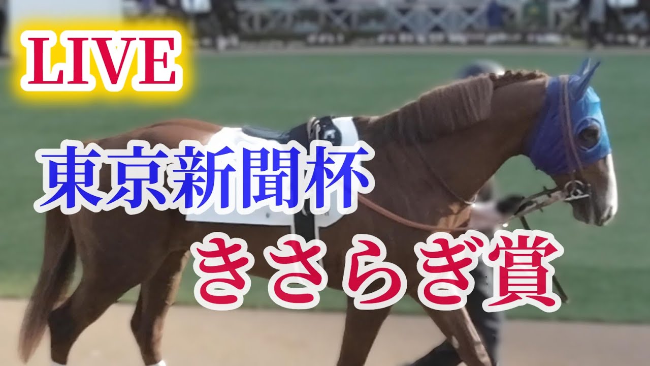 【東京新聞杯/きさらぎ賞】予想に自信のある人集まれ～🏇