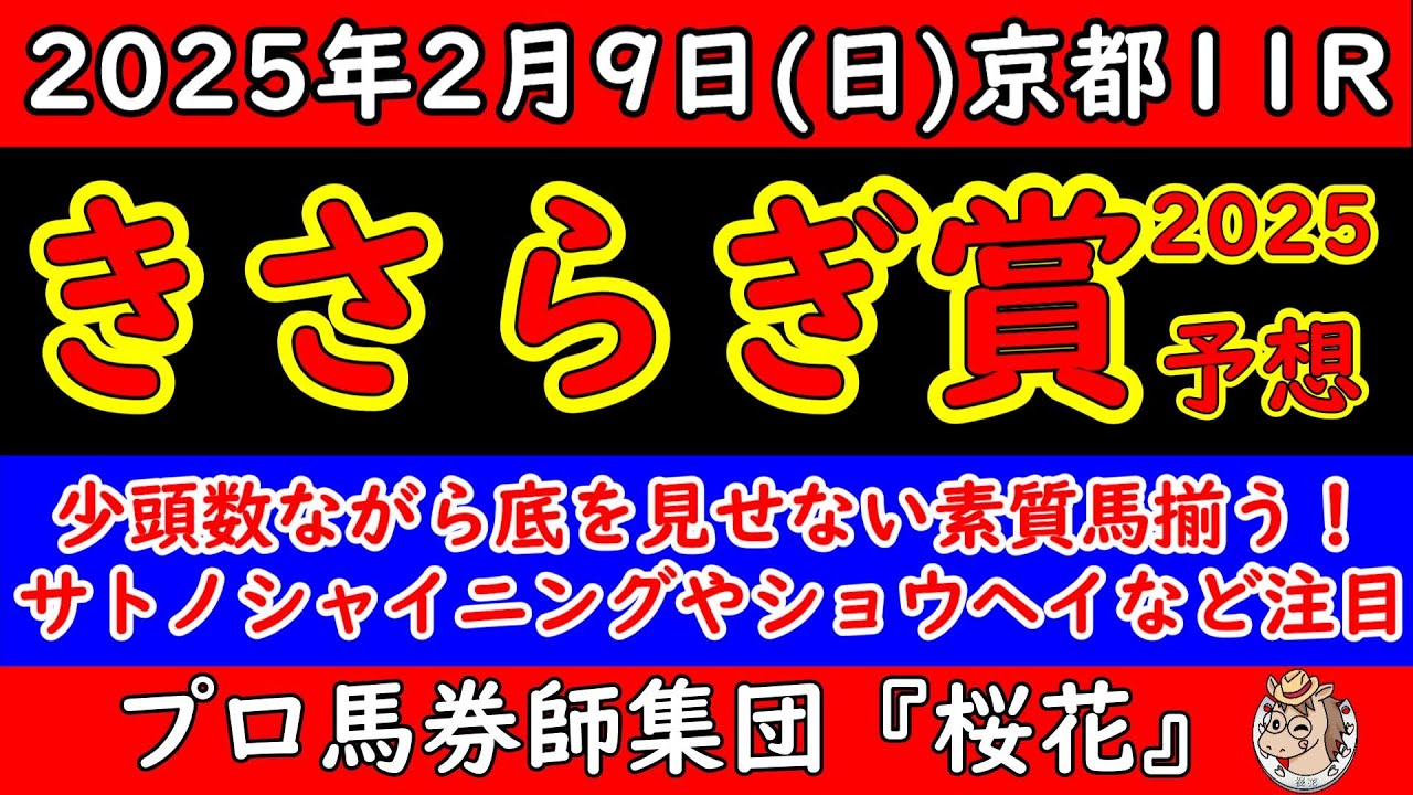 きさらぎ賞2025レース予想！土曜日が雪で中止となり馬場状態が鍵となる中で能力面の比較が大事になりそうだ！実績馬サトノシャイニングやランスオブカオスに上り馬ショウヘイなど好メンバーでのレースに注目！