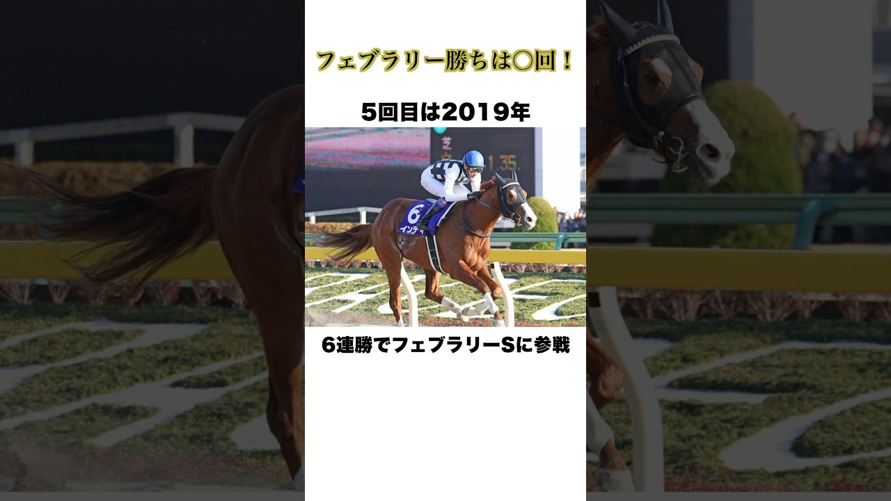 武豊【フェブラリー勝ちは○回！】#競走馬 #競馬 #武豊 #馬 #horse