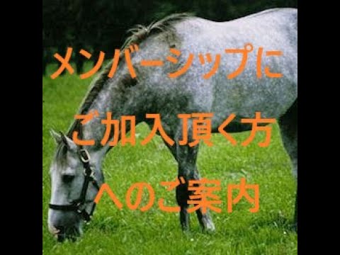 メンバーシップ　情報の閲覧方法　概要欄でも説明しています