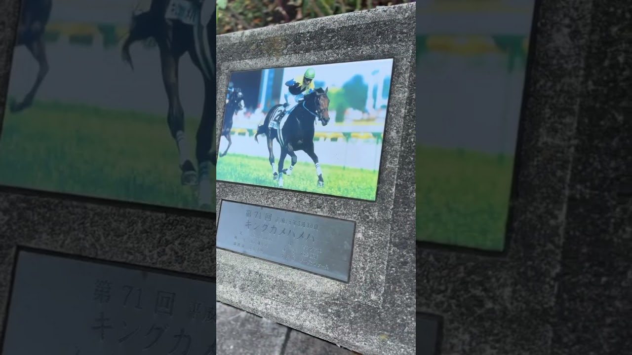 東京競馬場　ダービーホースアベニュー　#日本ダービー #東京競馬場 #東京優駿