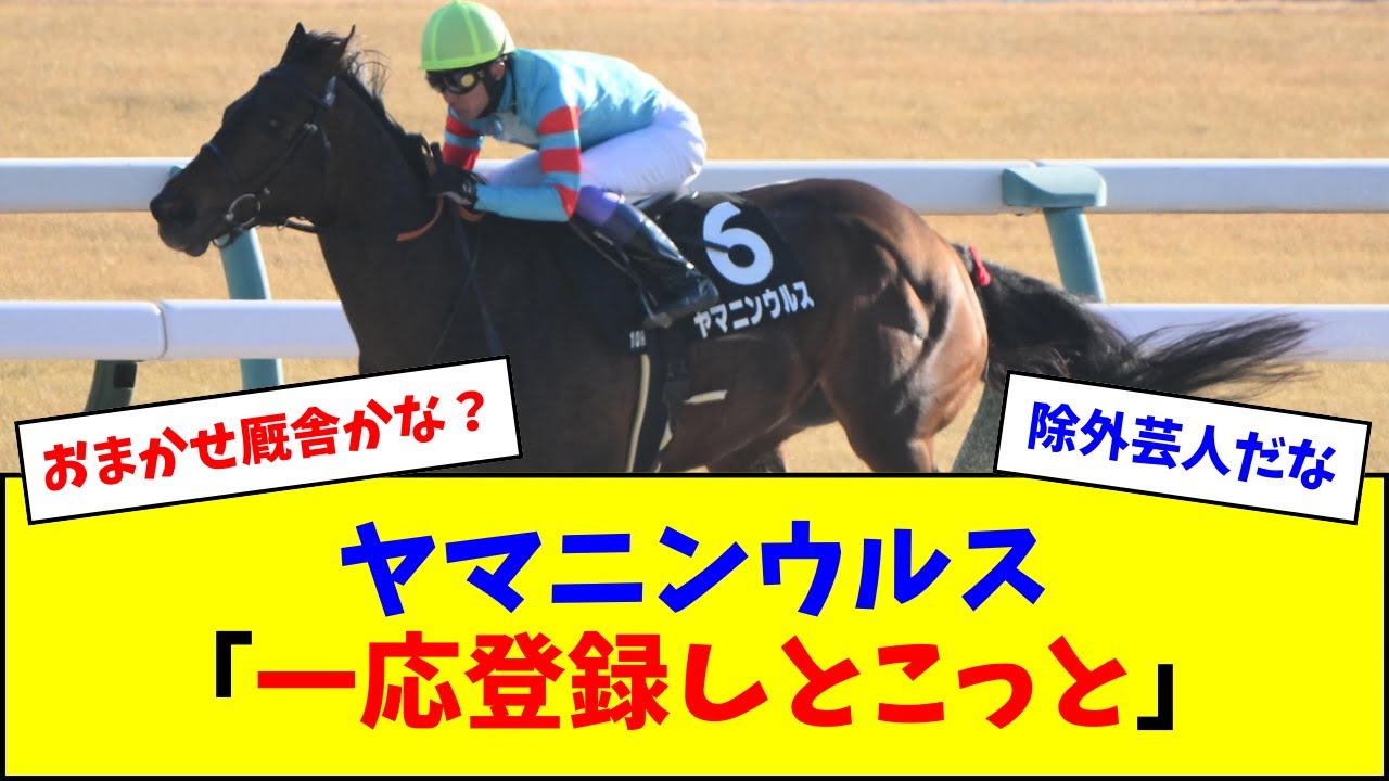 【なお】ヤマニンウルス 一応フェブラリーステークスに登録w w w